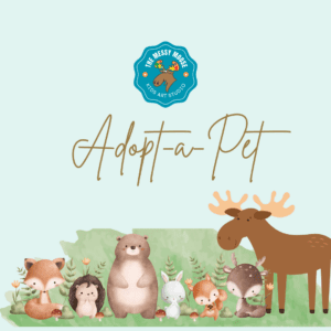 Adopt a Stuffy Event