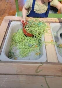 Sensory Bins
